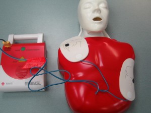 CPR Training Mannequin and AED Trainer